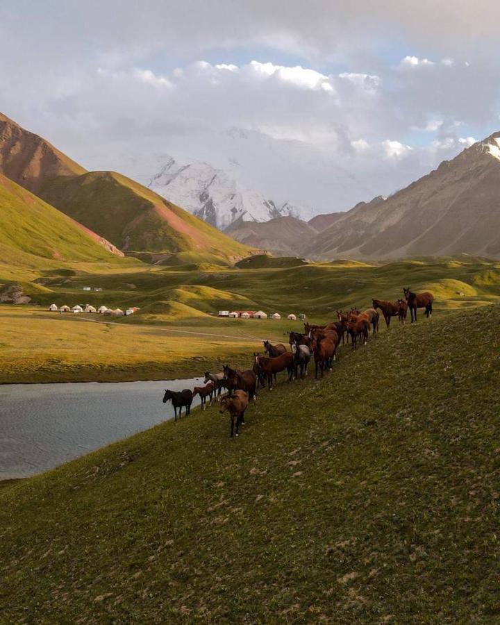 Pamir Nomad Yurt Camp Hotel Kara-Kavak ภายนอก รูปภาพ