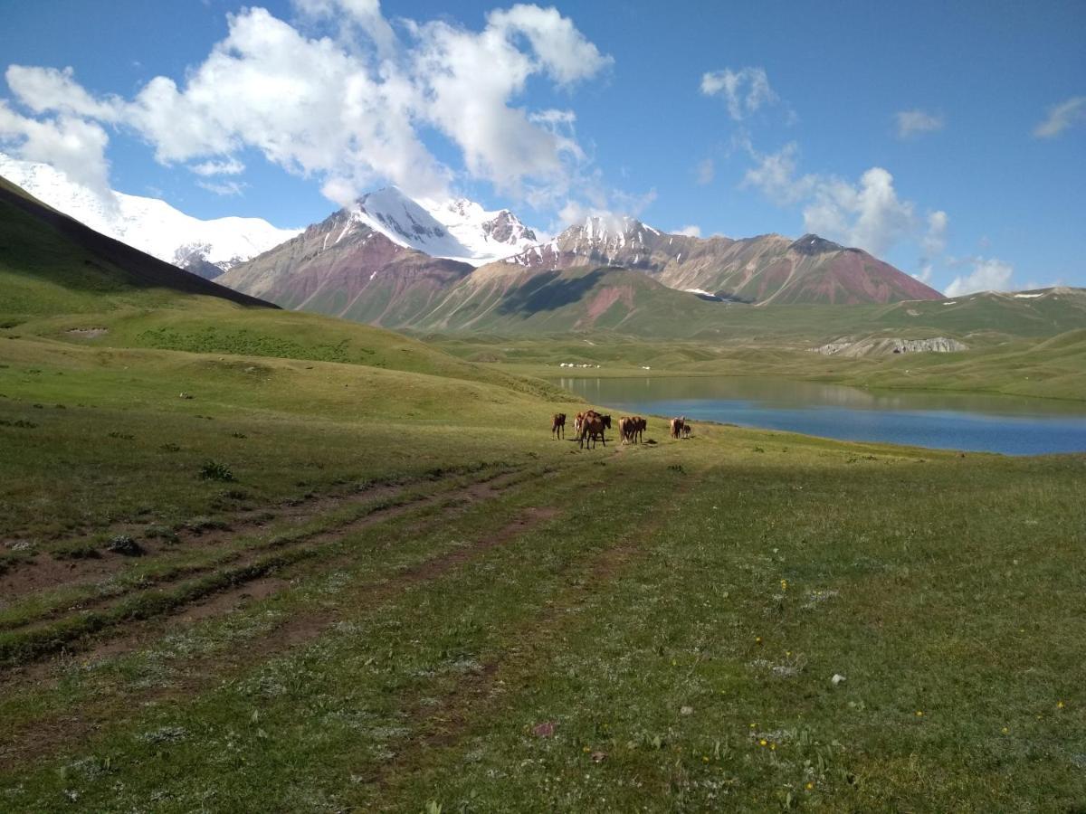 Pamir Nomad Yurt Camp Hotel Kara-Kavak ภายนอก รูปภาพ