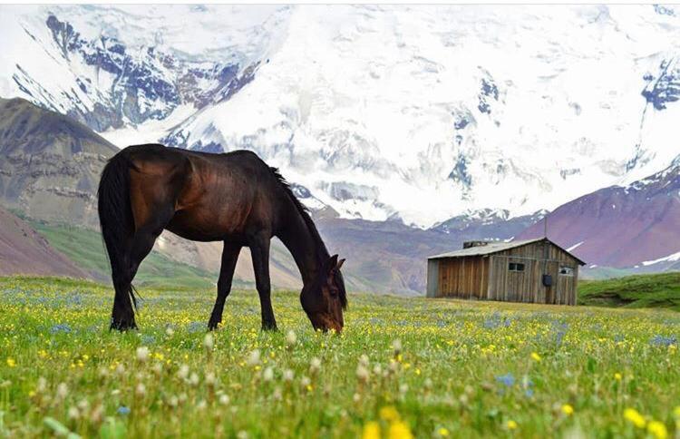 Pamir Nomad Yurt Camp Hotel Kara-Kavak ภายนอก รูปภาพ